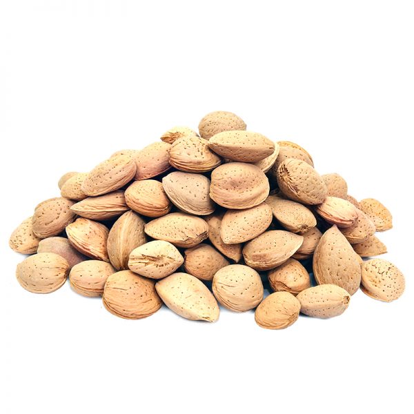 Badam Mota (Almond In Shell)