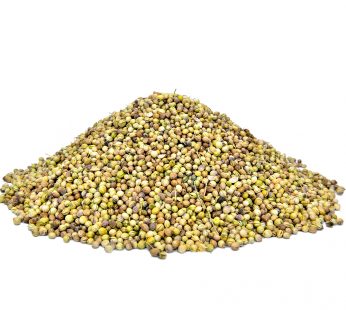 Dhania Sabat (Coriander Whole)